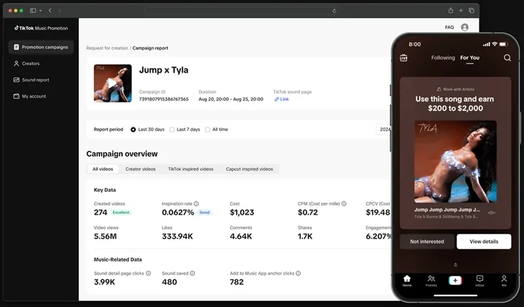 TikTok Music Promotion campaign report and the WWA in-feed card